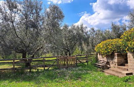 La buona sosta sulla Francigena - Photo 24