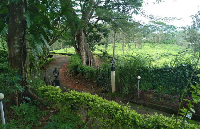 Standard Double Room-wayanad - Foto 11