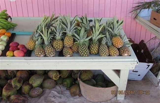 Coconut Point 3 Bedroom Home - Foto 21