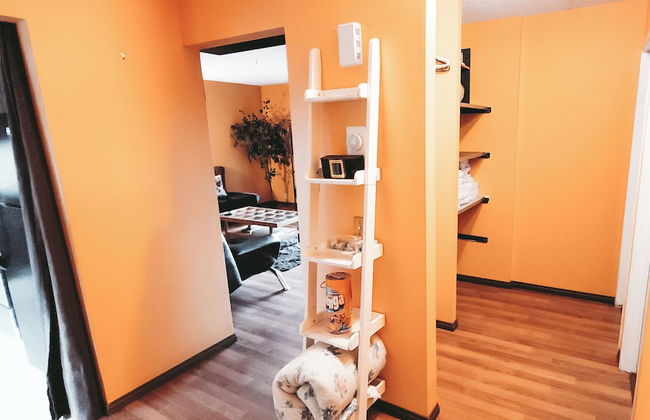 The Canary 223 - Photo 2