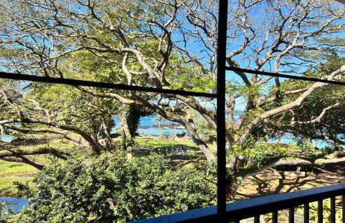 Ocean view Mauna Loa Shores Kai Ekahi #201 next to Carlsmith Beach Park Hilo HI - Foto 39