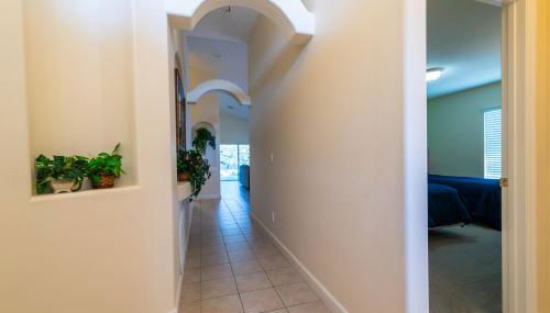 519OBC-Sunshine Daydream (B) - Foto 4