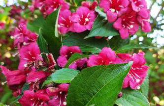 Holiday Home Fachwerkhaus La Longère Escapade Normande by Interhome - Photo 28