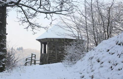 Ferienwohnungen Schenk Schmitz - Photo 42