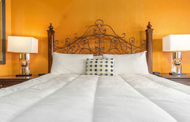 Sonoran Sun IV - Foto 12