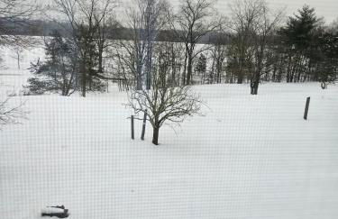 New- Farm view-Winter escape with cozy fireplace - Foto 33