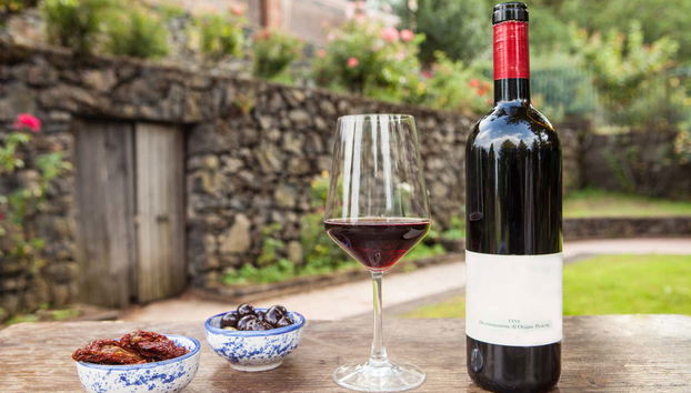 Degustando lo squisito vino dell'Etna