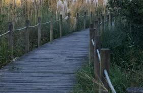 Casa Lagoa Verde - Foto 63