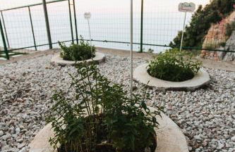 Apartments PARADISE GARDEN Holiday House - Foto 56