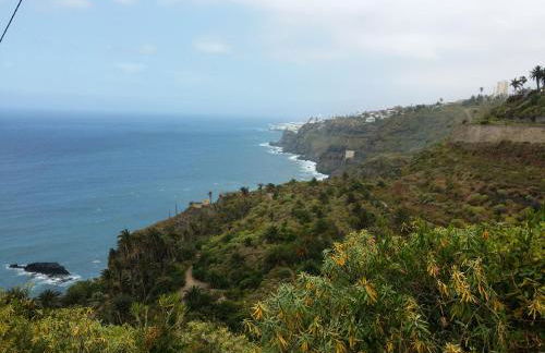 Studio 1 Hab - Foto 28