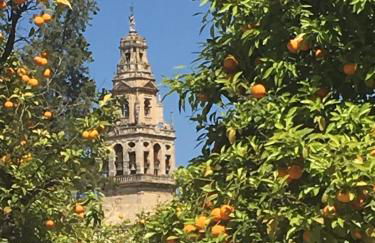 La Condesa de Vallellano - Foto 35