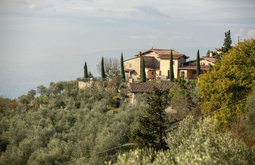 Tenuta Piroddi - Photo 13