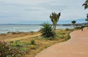 Hello Cosmo - Photo 36