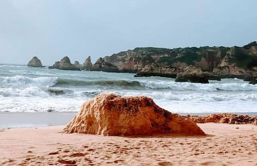 Sweet Home Estrela do Vau 232 - Foto 3