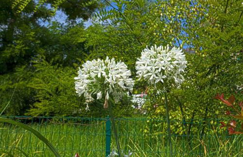 Villa Karisma - Foto 34