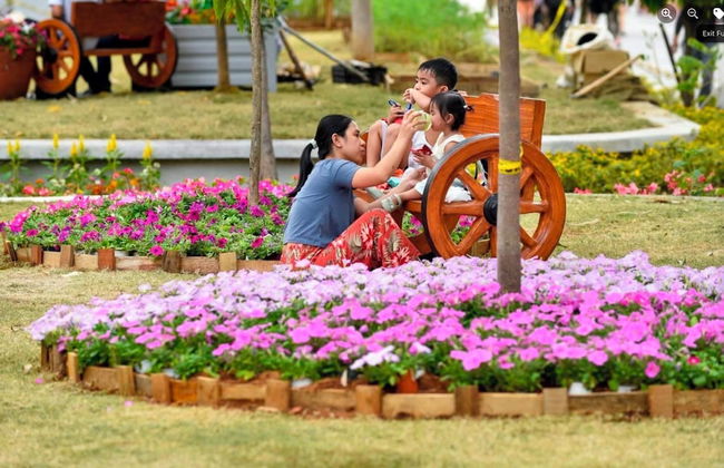 Pandora's Nest - Foto 60