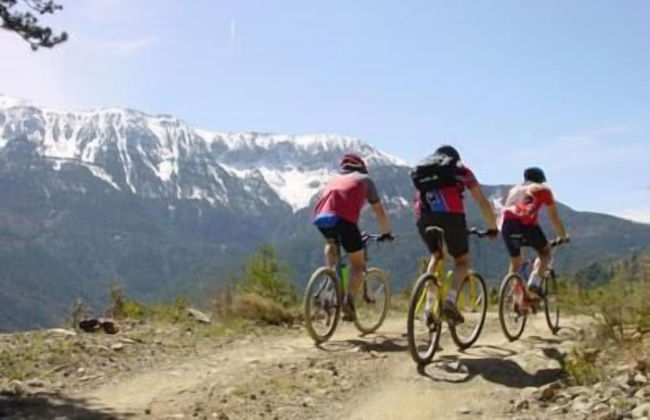 Apartamentos Solineu - Foto 34