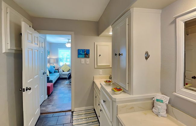 Blue Curlew - Photo 23