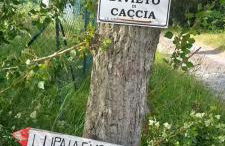 La Casetta di Ross - Foto 47