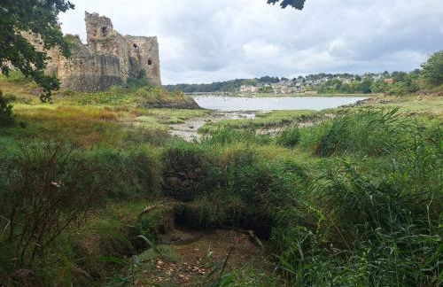 Maison proche des plages de la Côte d'Emeraude - Saint-Malo, Dinard, Dinan - Foto 21