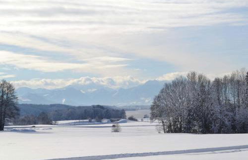 Pichler Roswitha - Foto 17