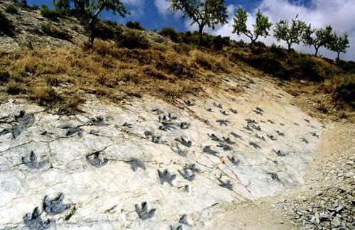 Casita de Noah by Apartamentos Arnedillo - Foto 23