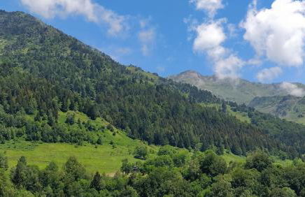 Chalet Étoile des neiges - Foto 23