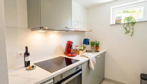 Premium-Apartment, 4 Betten, Nahe Ulm für Familien und Gruppen,Hund - Foto 4, stove, pet friendly