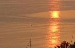 L'Odyssée provençale, un duplex de charme de 2 chambres au pied du village médiéval de Bormes-les-Mimosas, offrant des prestations haut de gamme et une superbe vue sur le Massif des Maures - Foto 55