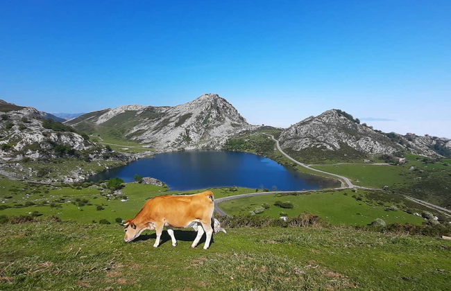 Excursion aux lacs de Covadonga en petit groupe - Photo 9