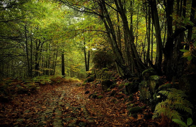 Finca El Cabezo - Foto 22