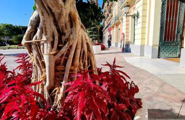 Spacious apartment with pool in the heart of Murcia - 128 m² - Foto 13