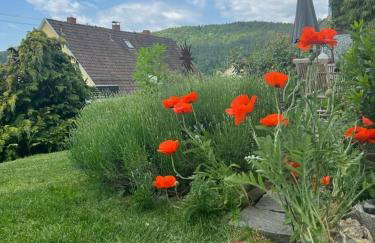 Ferienwohnung Jardin de lavande - Foto 19