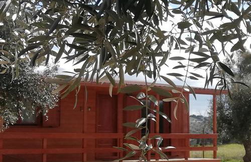 Burrico D`Orada - Rural Stays & Wine Country Tours - Foto 20