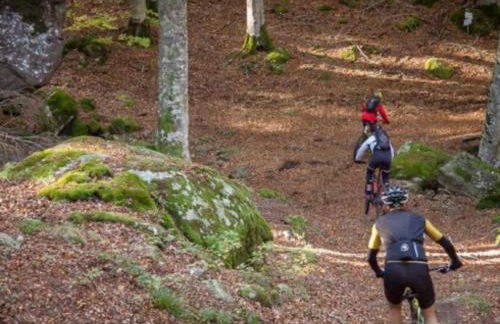 Maison Amiata - Foto 38