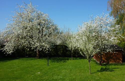 Chambre d'hôtes de Florence - Photo 21