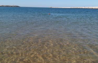 Casa Picadeiro - Foto 30