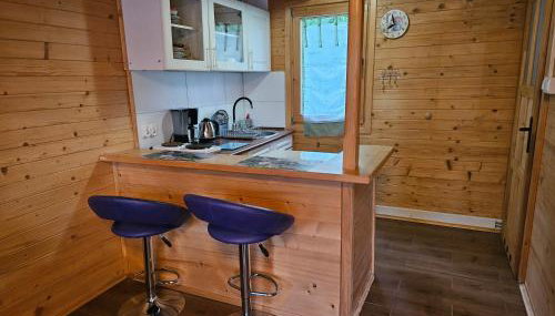 Buszyno Agroturystyka - Foto 3, stove, minibar