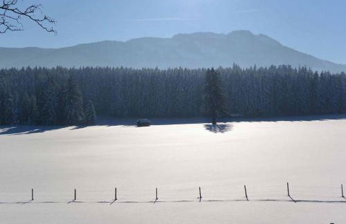 Veiter-Hof - Foto 79