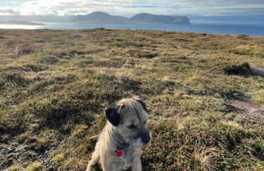 Switha - Luxury home in Stromness, Orkney with outstanding views and hot tub - Photo 40