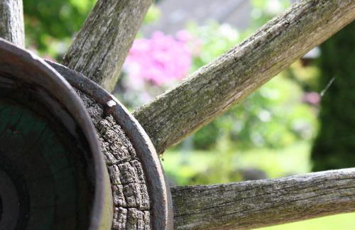 Ostehof Weertzen - Foto 18