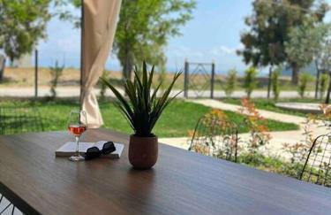 •Naiades Villas• Castalia• - Photo 4