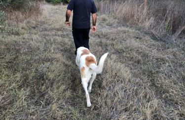 Monte de Stª Margarida - Foto 50