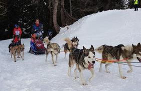 APPART ZIG-ZAG LES COCHES - Foto 9
