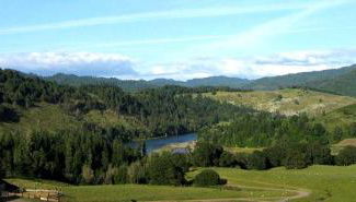 Secluded Cabin Ideal for a Romantic Getaway in the Umpqua River Valley of Oregon - Foto 5