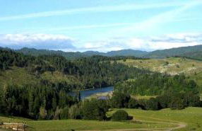 Secluded Cabin Ideal for a Romantic Getaway in the Umpqua River Valley of Oregon - Foto 5