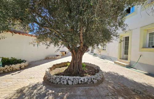 La casa del árbol - Foto 36