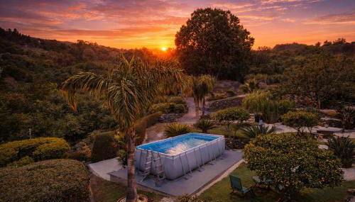 Villa Laura - Foto 3, Garden, Garden view