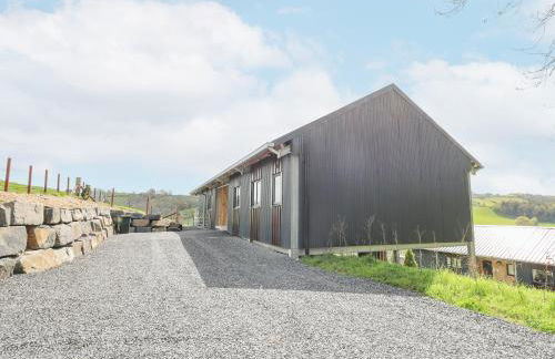 Barcud Coch - Red Kite - Photo 40