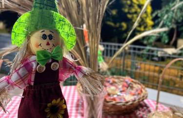 Chácara Milk & Shake - Foto 34